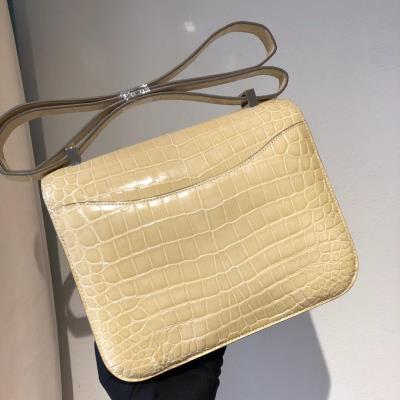 wholesale quality hermes constance 19 shinny niloticus crocodile 12 nata phw